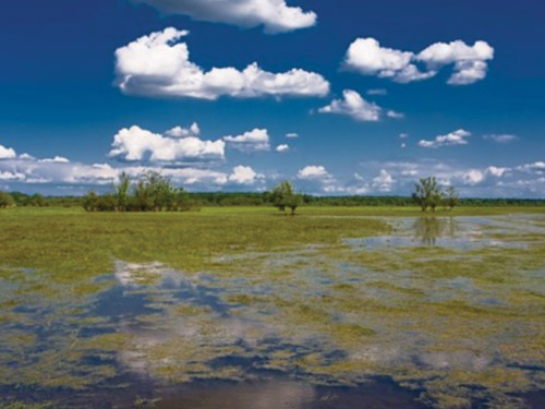 Parc naturel Lonjsko polje